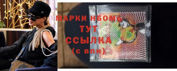 стаф Болотное