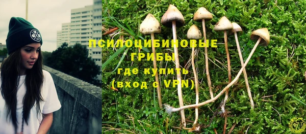 меф Мегион