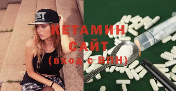 стаф Болотное