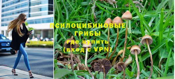 меф Мегион